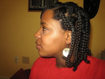 Black Hair Braids Pictures. box raids on natural hair