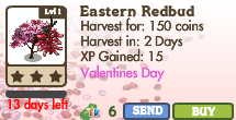 Eastern Redbud Market Info