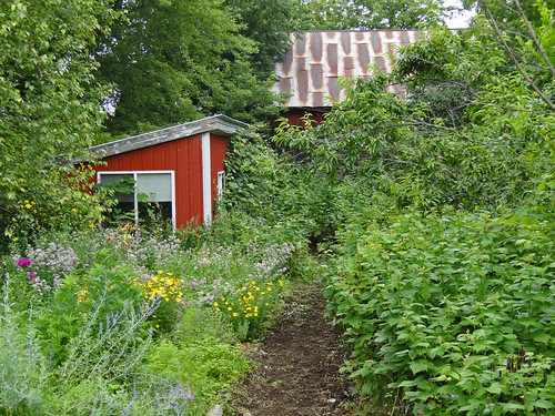 DSC03694