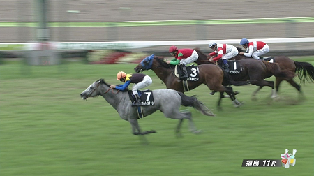 マウントロブソン強すぎワロタｗｗｗｗｗｗｗｗｗｗｗｗ ハロン棒ch 競馬まとめ