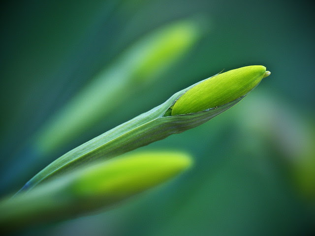 P3208416