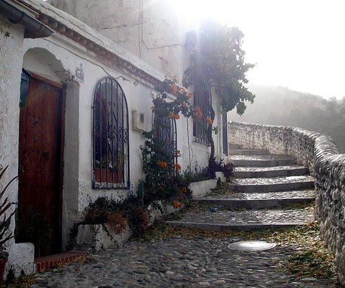 La Calle de la Luz