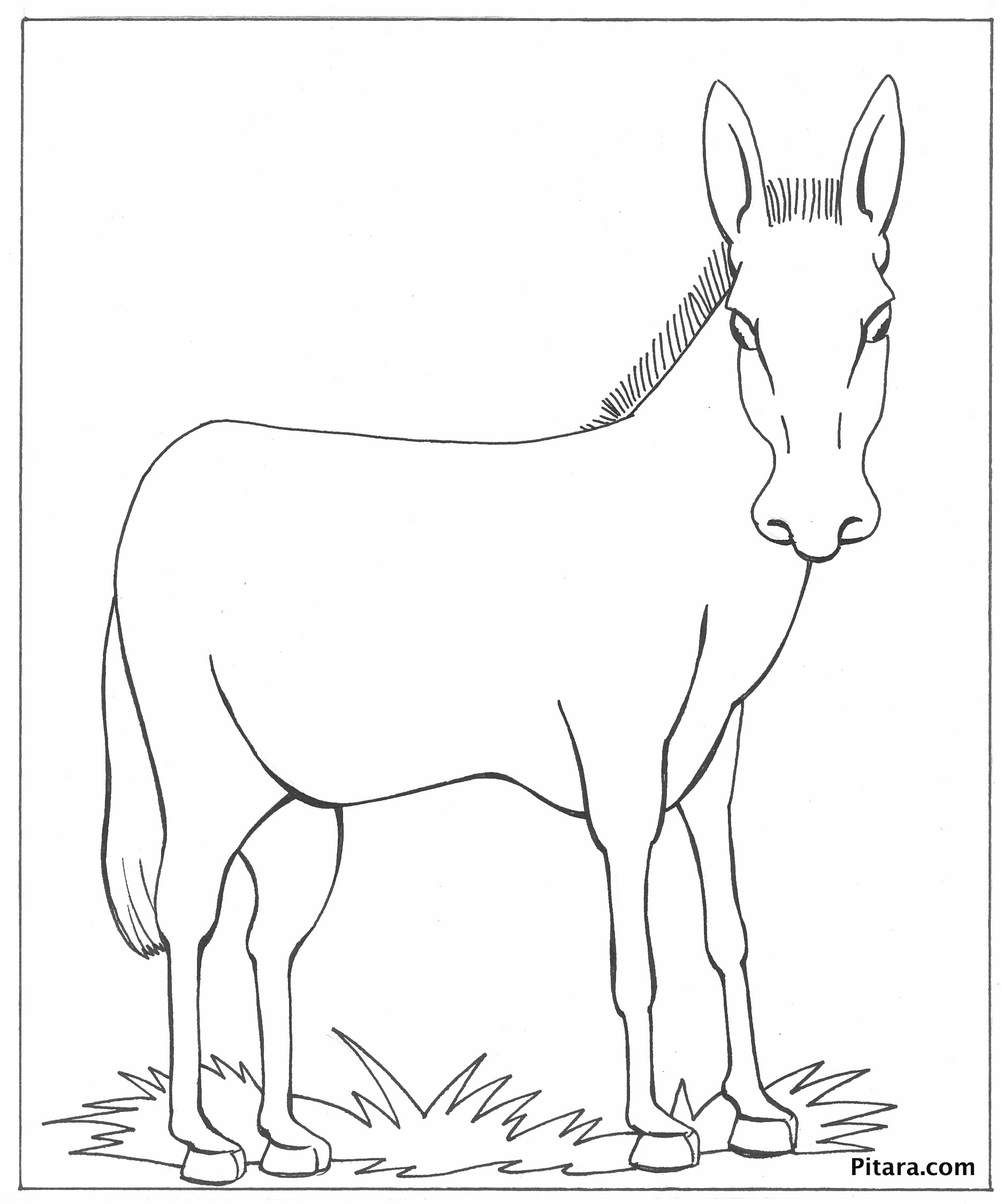 Donkey coloring pages to download and print for free Print each farm animals coloring page and let each kid get creative with color, glitter, tissue paper squares — whatever you have on hand.