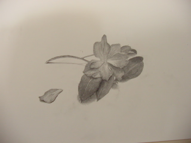 デッサン講座 花 豊中美術研究所 絵画教室
