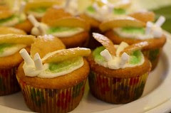 Moth cupcakes
