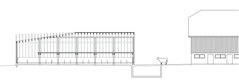 Sc: Cow shed plan layout