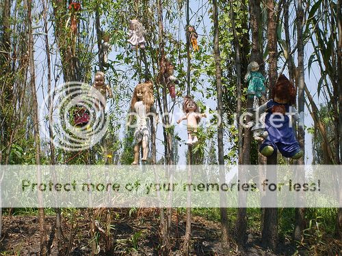  photo a05e374264ac39bdde5c12e3bef60bd9_zps81074825.jpg