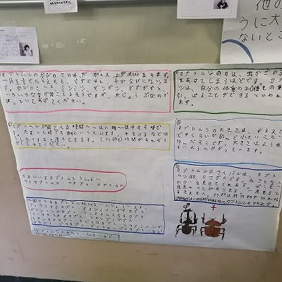 夏休み 自由研究 を展示 川口市立安行小学校