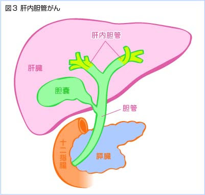 川島なお美激やせ背中画像で余命が判明 腹水と黄疸の末期とは ねたネット