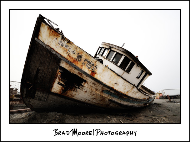 Redwoods_Shipwreck