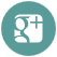  googleplusicon
