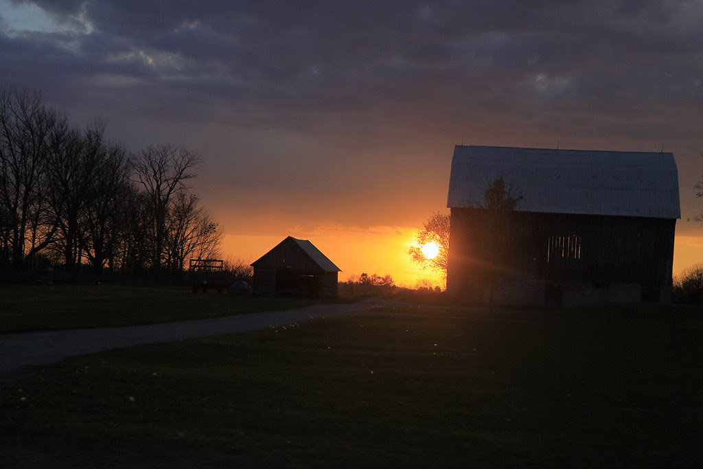 driveby 

sunset barn trees2