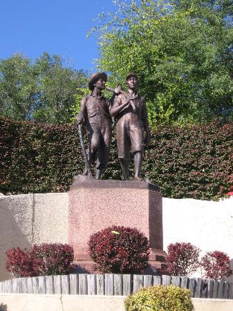 tom and huck condition