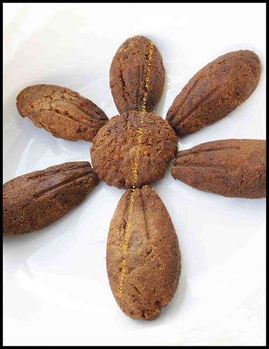 fiore speculoos