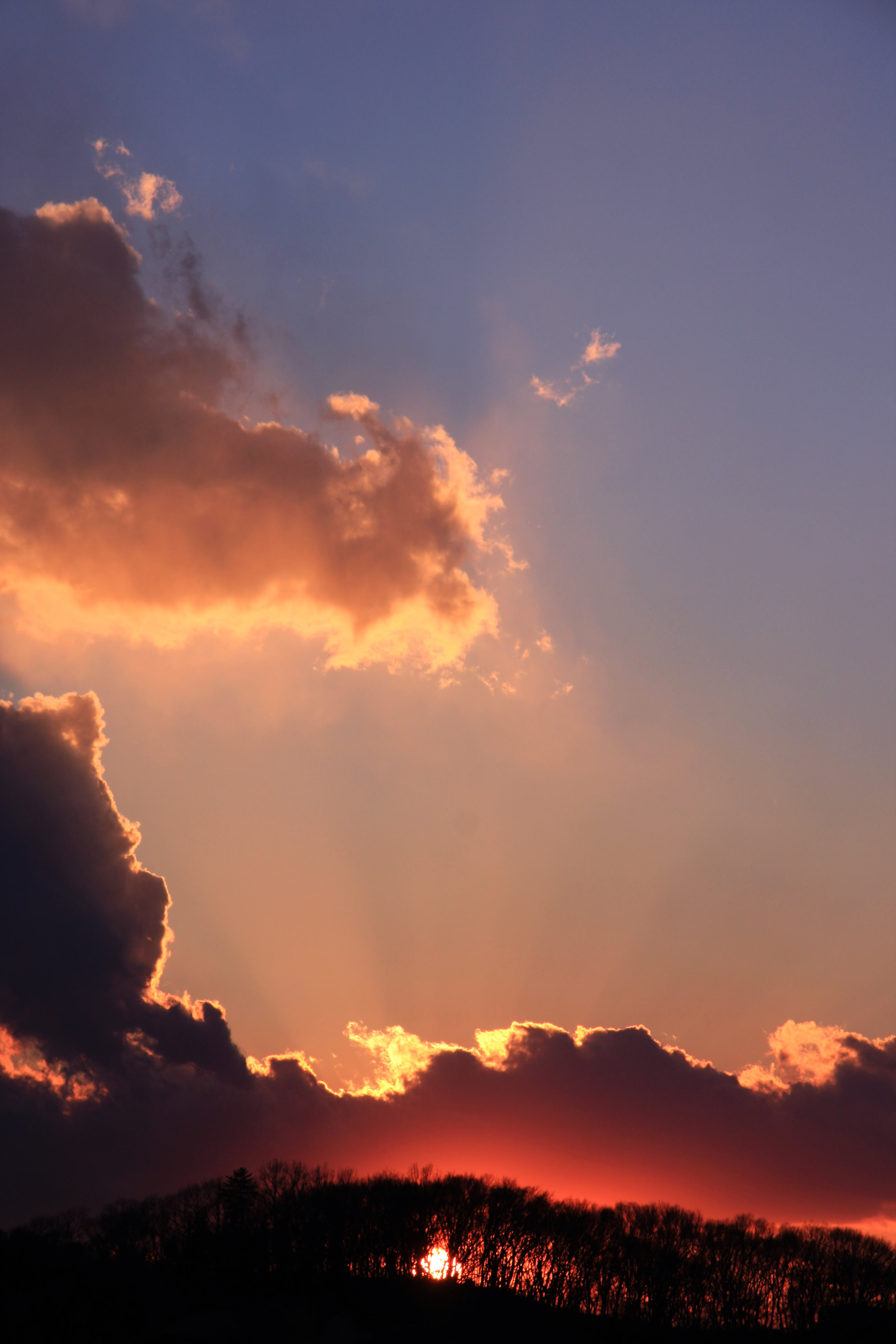 無料高画質 高解像度 写真素材 壁紙 ホームページ素材ならweb素材dx