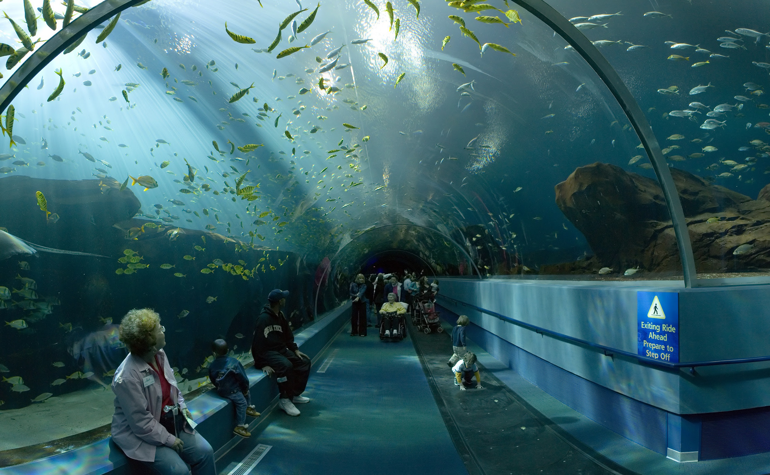 SparkLife » What It's Like to Travel to... Atlanta, Georgia