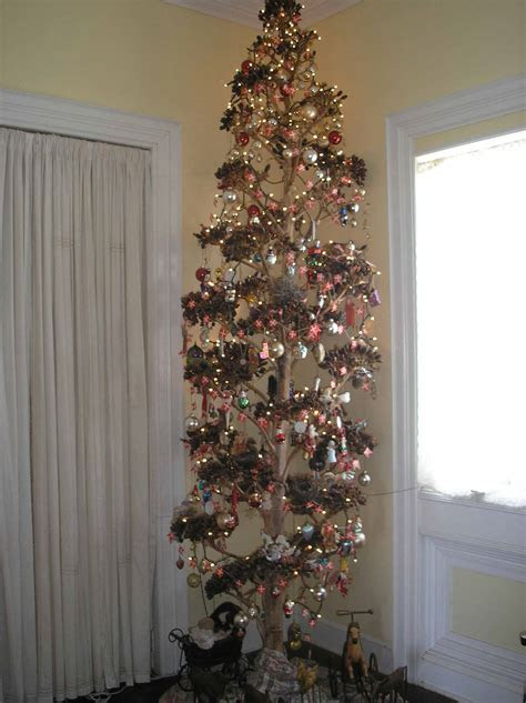 christmas tree pics