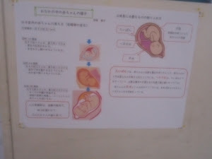 理科の学習では サクランズ