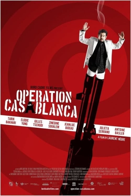 Regarder Opération Casablanca Streaming VF Complet 2010 En Ligne 4K
Français
