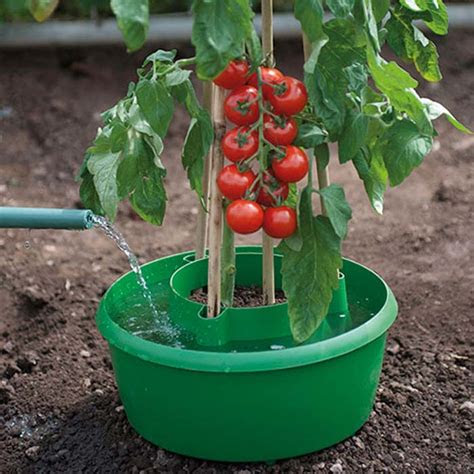 However, sometimes, nettings can be . Buy Tomato Grow Pots or Plant Halos for Low Cost Online