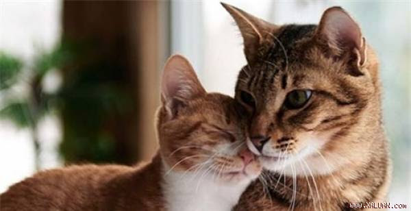 10 bí ẩn xuyên thời đại chưa lời giải đáp