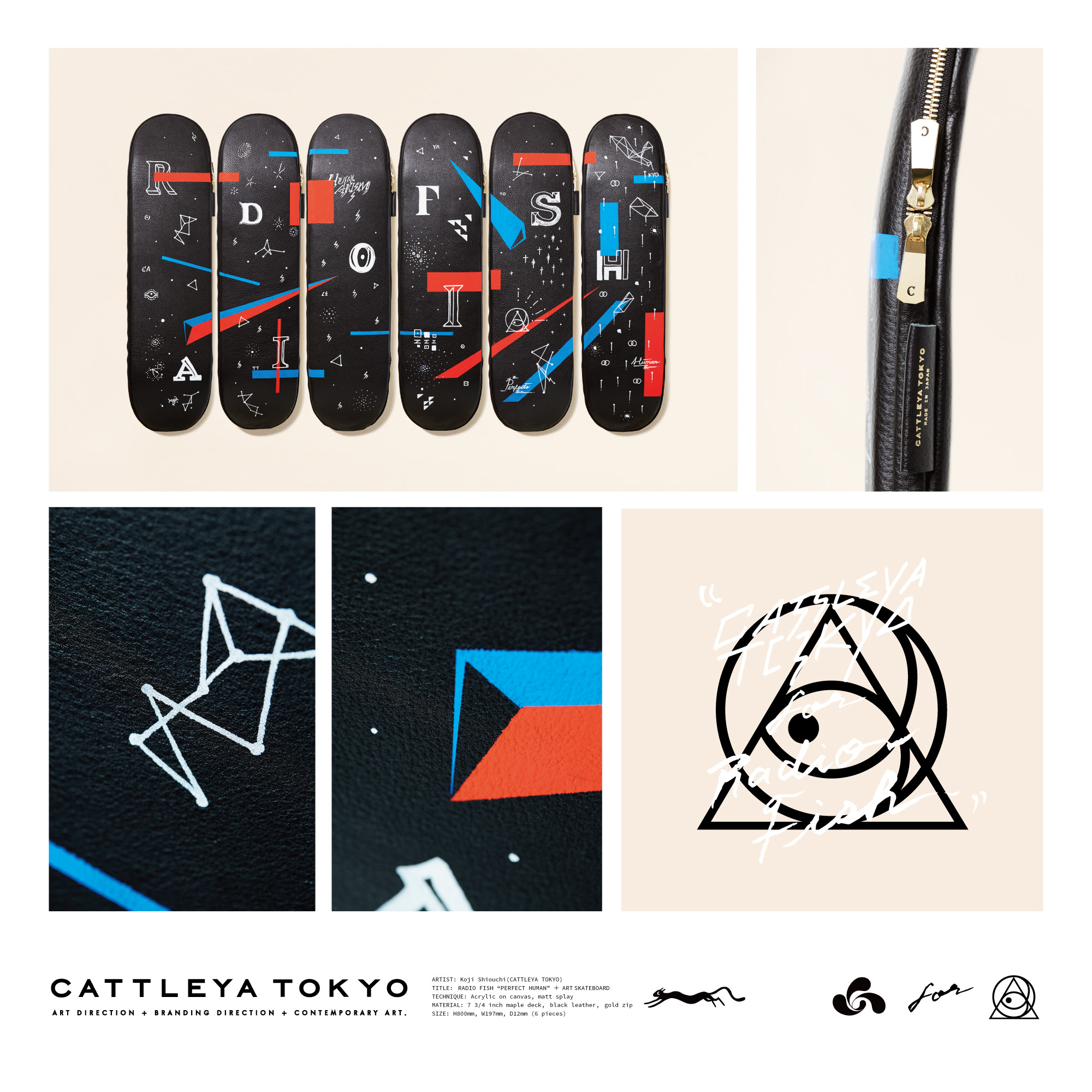 Ct For Radio Fish Art Cattleya Tokyo カトレヤトウキョウ