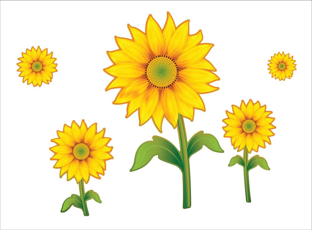 Gambar Cartoon Bunga  Matahari  ClipArt Best