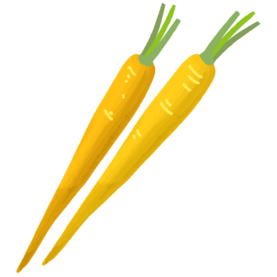 チデークニ 島ニンジン Aの無料素材 イラスト沖縄 おきなわ