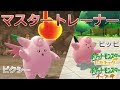 [コンプリート！] ピカブイ ピクシー 142049-ピカブイ ピクシー 技