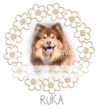  photo ruka_VALMIS_zpsfvoodmzd.jpg