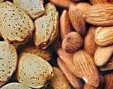 Almonds Pictures, Images and Photos