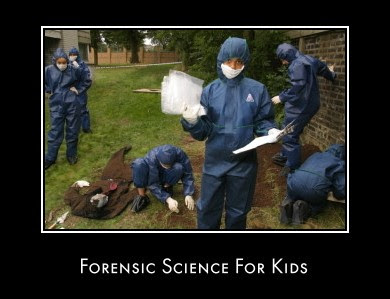 Forensic Science: Forensic Science Worksheets For Kids