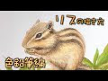 動物 イラスト リアル 174475-動物 イラスト リアル 鉛筆