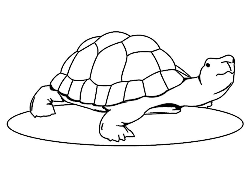 Tiere 23 Ausmalbilder Top