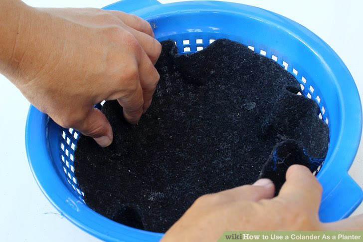 Use a Colander As a Planter Step 6.jpg