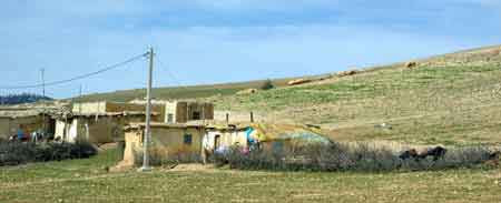 Grand sud maroc - Azrou - Atlas