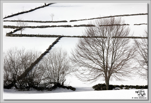 5 Nieve en Lunada