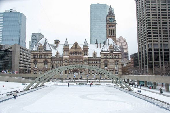 toronto weather