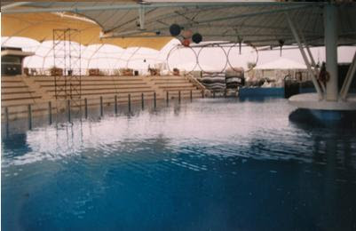 KOSTER American Corporation We Solve Moisture Vapor Problems