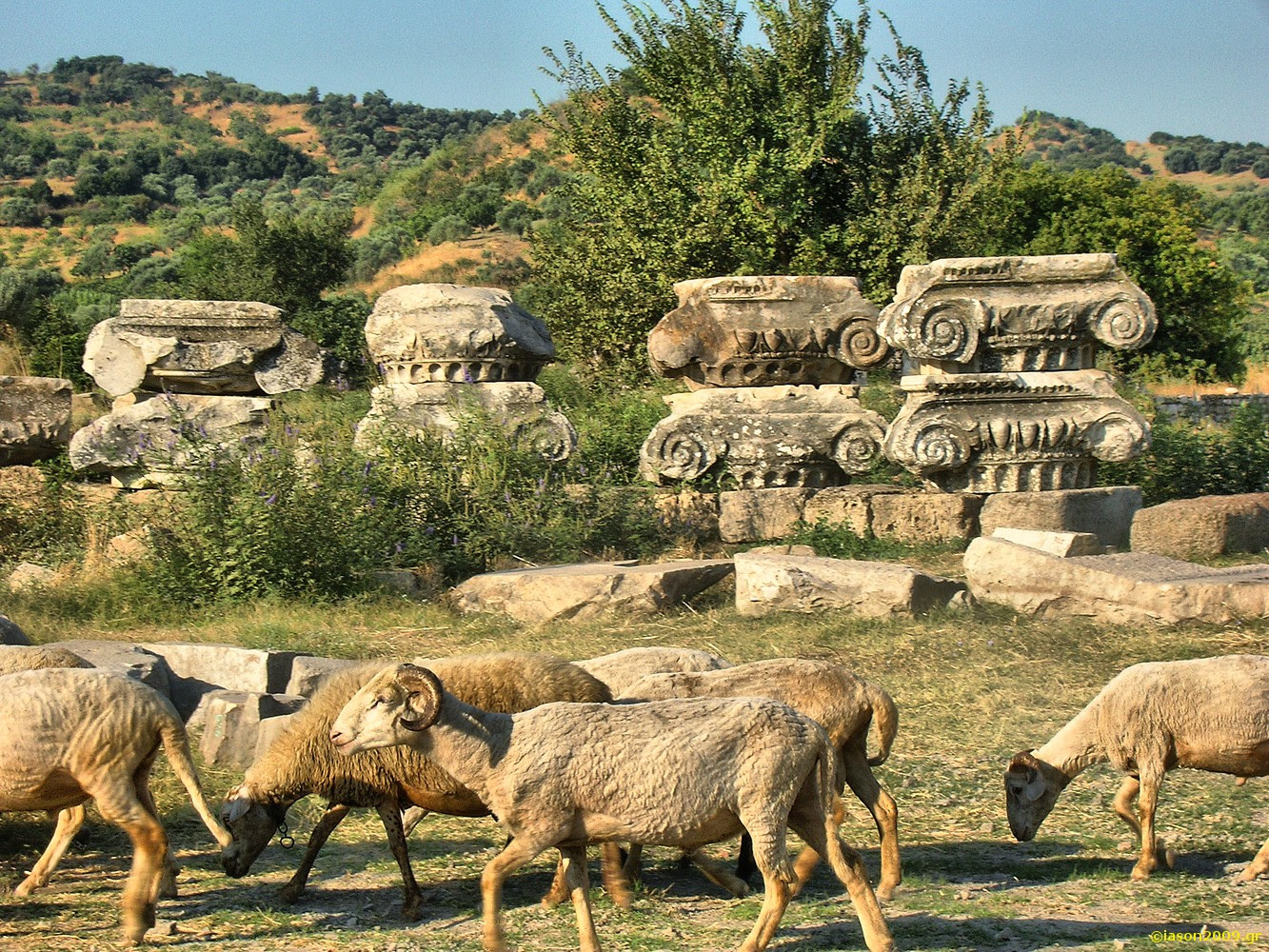 Κλικ για μεγάλη εικόνα