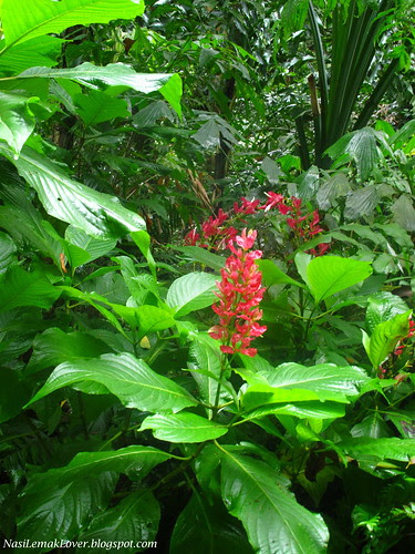 Tropical Spice Garden Penang