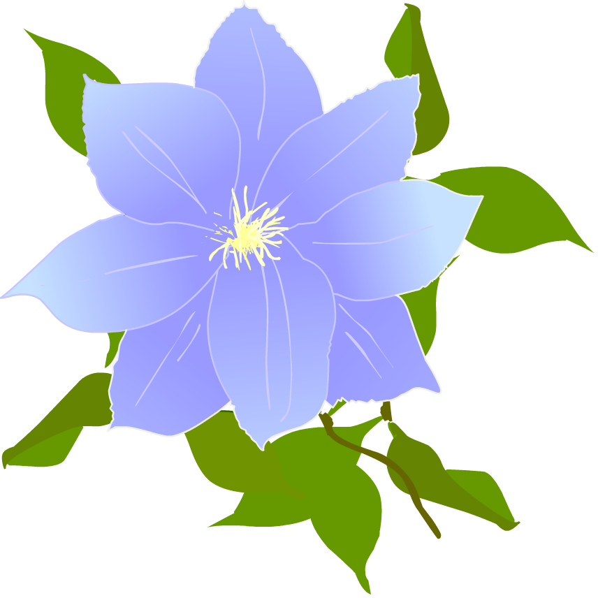秋 秋景色 秋の花 イラスト 無料