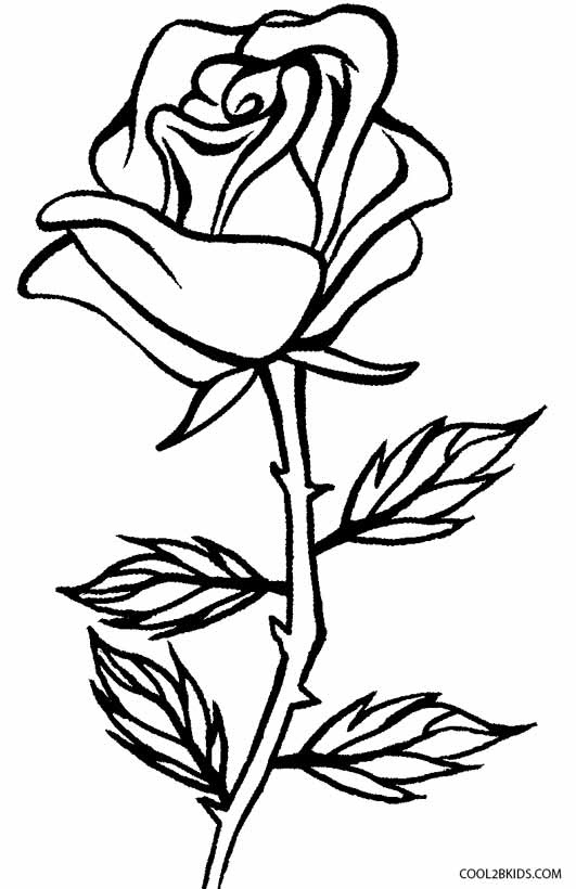 Download Printable Rose Coloring Pages For Kids | Cool2bKids