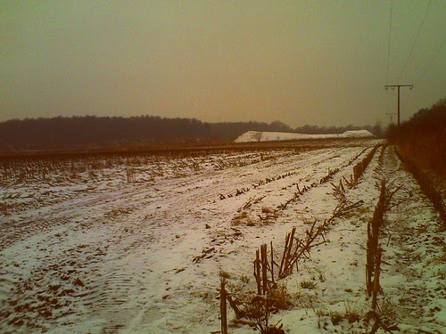 008/365 • winter