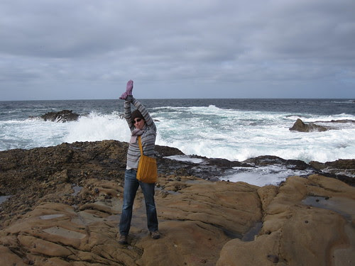 point lobos