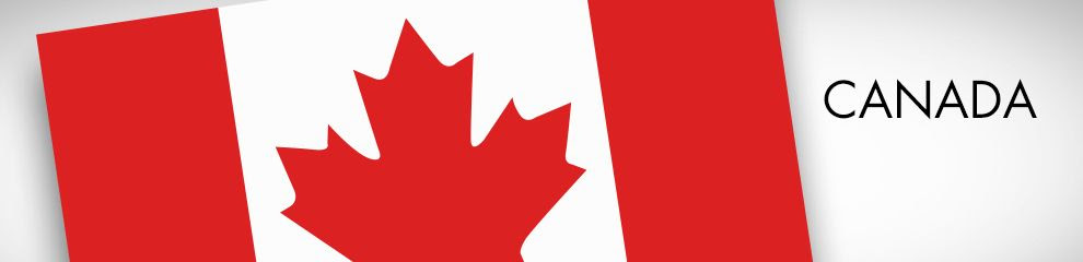 Waving Canadian Flag Party Supplies Party City Canada Waving Canadian Flag Party Supplies Party City Canada