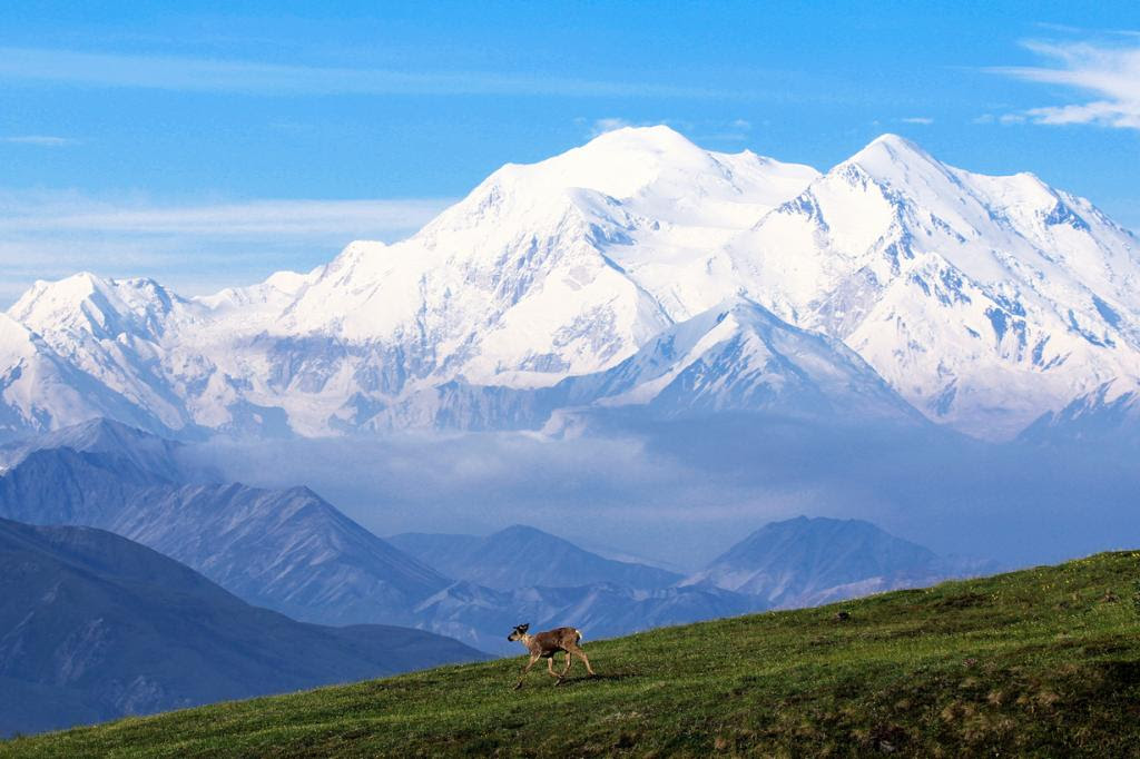USA.  Alaska.  Walk through Denali National Park.  (NPS Photo / Daniel A. Leifheit)