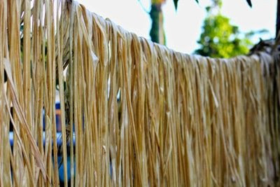 Cara Membuat Kerajinan Hiasan dari Daun Kering Anyaman Cara Membuat Kerajinan Hiasan dari Daun Kering Anyaman