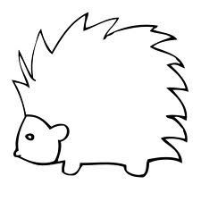 Porcupine Coloring Page
