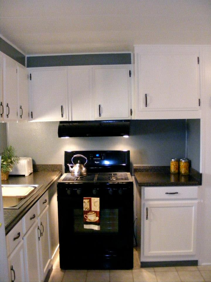 1971 Skyline Single Wide Kitchen Remodel- MMHL